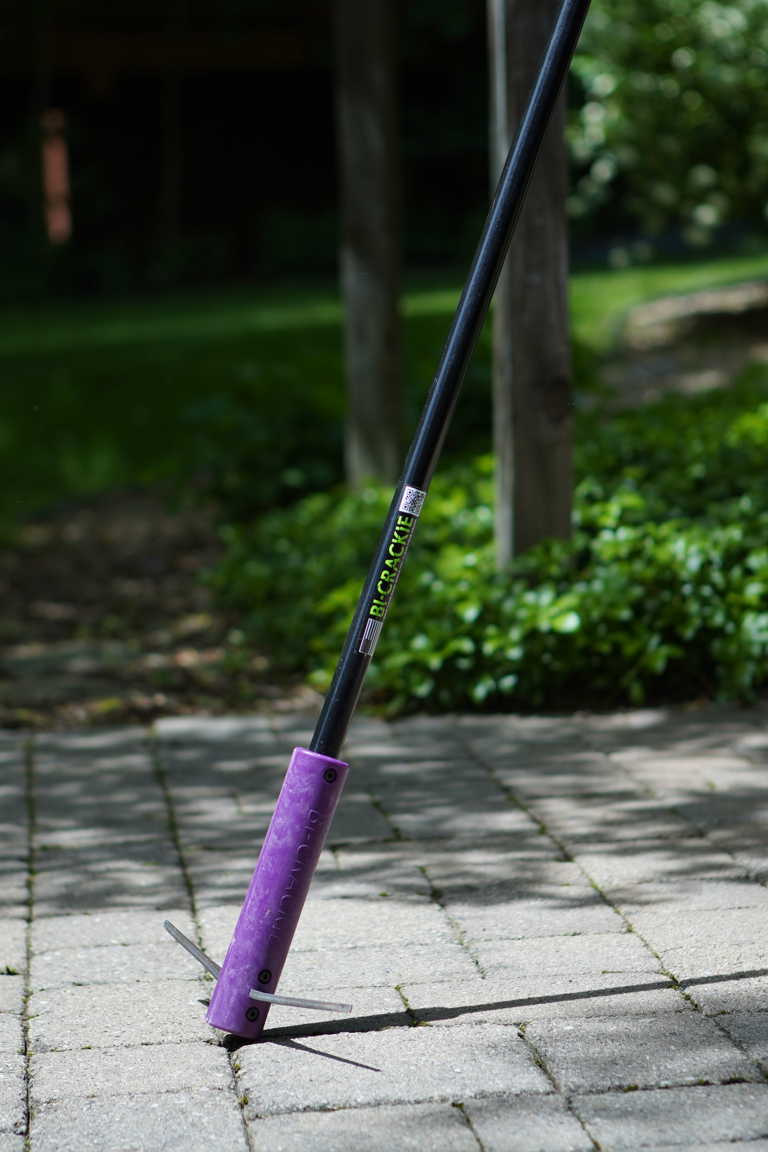 Bi-Crackie Purple Weeder