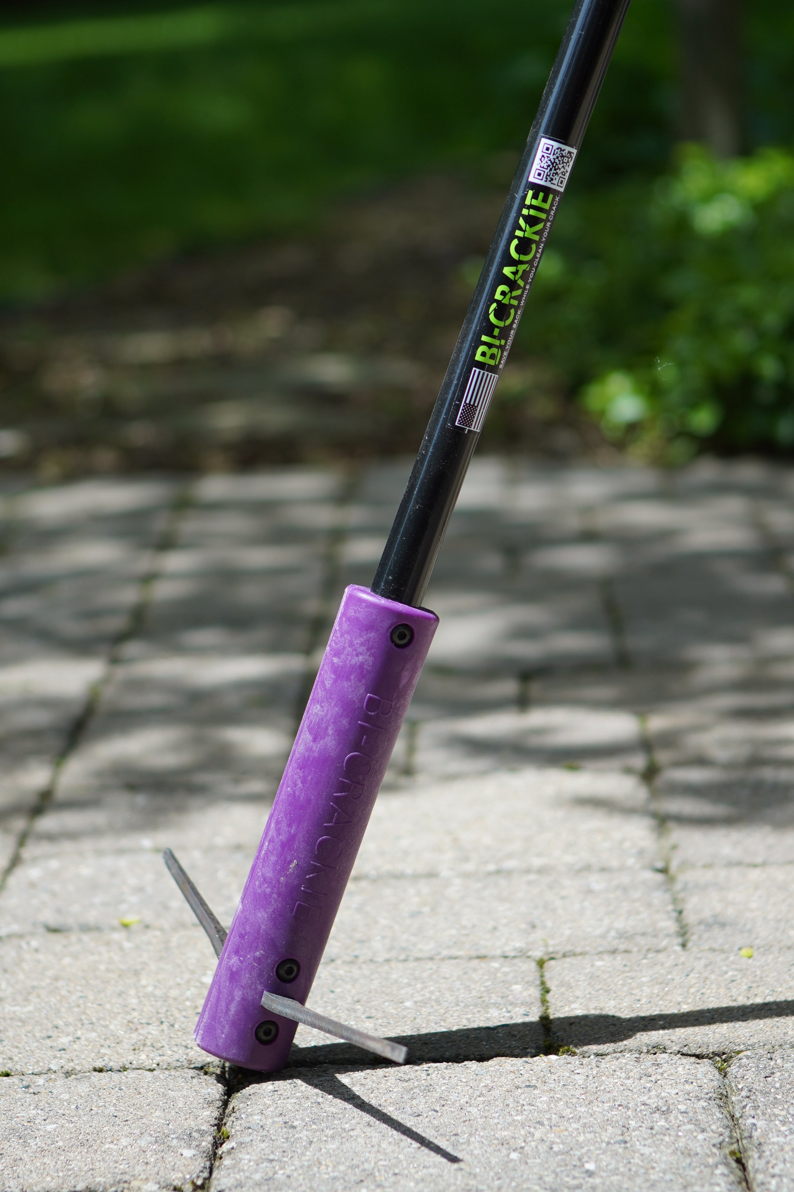 Bi-Crackie Purple Weeder