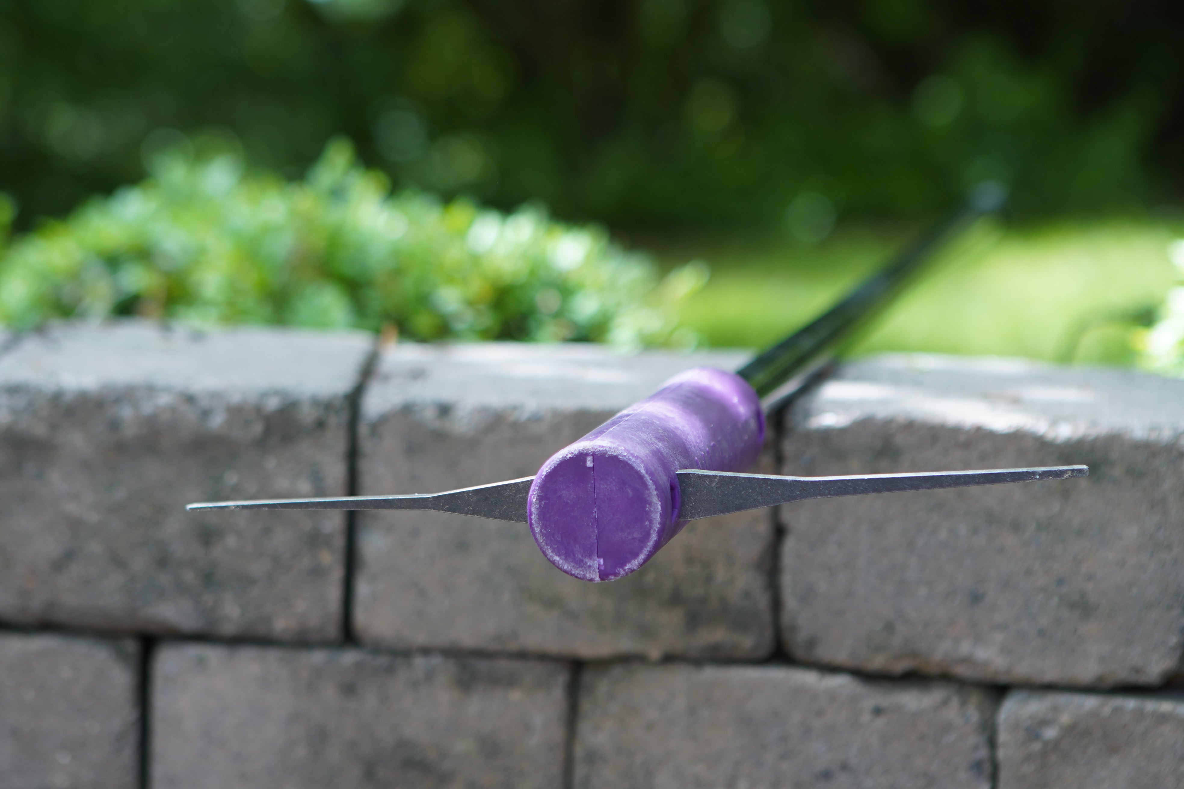 Bi-Crackie Purple Weeder